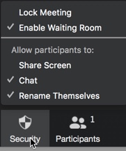 security menu options