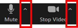 Buttons to check audio and video devices in Zoom