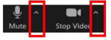 Zoom Audio Settings
