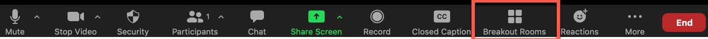 Zoom host controls